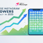 Increase instagram followers organically in 2025