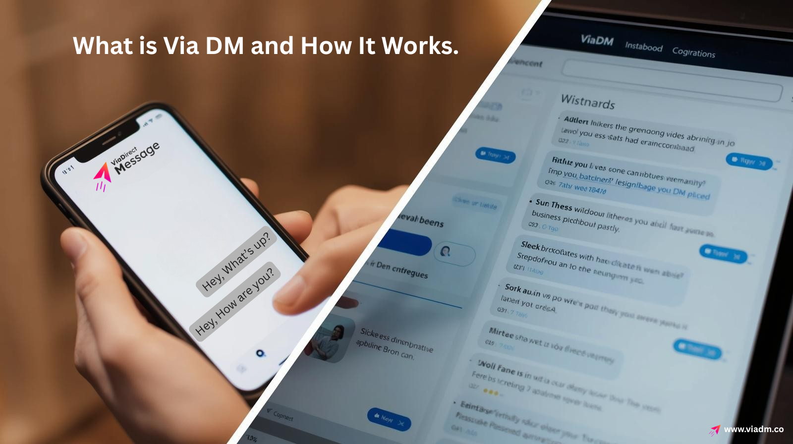 ViaDM platform dashboard showing DM campaign analytics and results.