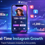 how to check Instagram follower count in real-time dashboard illustration